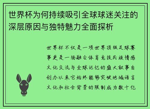 世界杯为何持续吸引全球球迷关注的深层原因与独特魅力全面探析